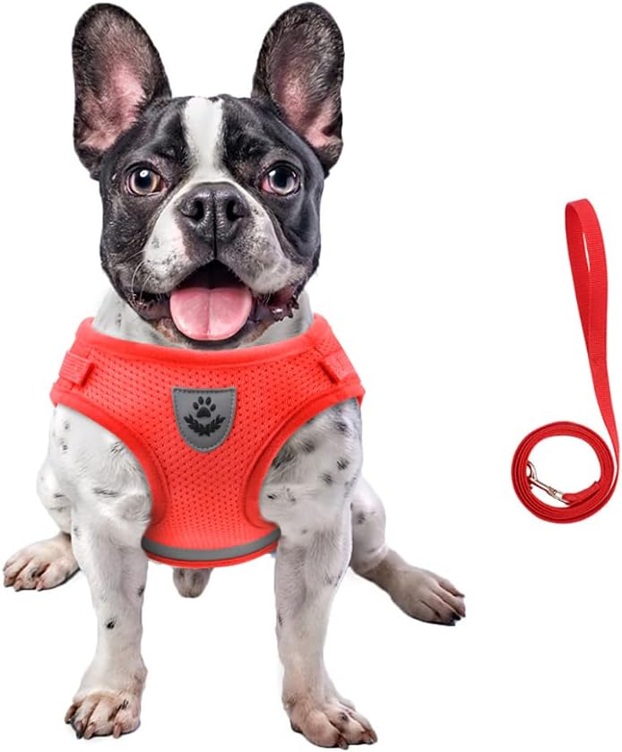 FEimaX Dog Harness and Leash Set for Walking - Red / X-Large