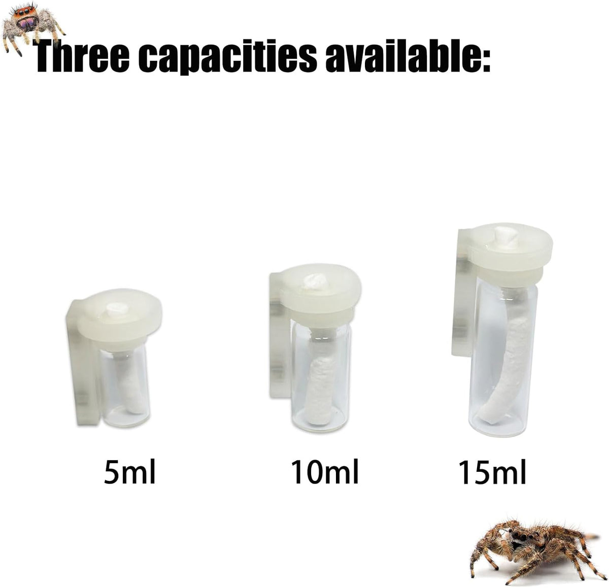 Jumping Spider Water Dispenser, Magnetic Hanging Feeder - Transparent / 15ML - image 4