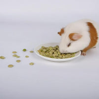 Pea Flakes for Guinea Pigs - Pet Treats, Suitable for Chinchillas, Rabbits, and Small herbivorous Animals(1.5 lb (Pack of 1))