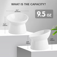 Elevated Cat Bowls, 15° Tilted Ceramic Cat Food Bowl - White / Large - image 2