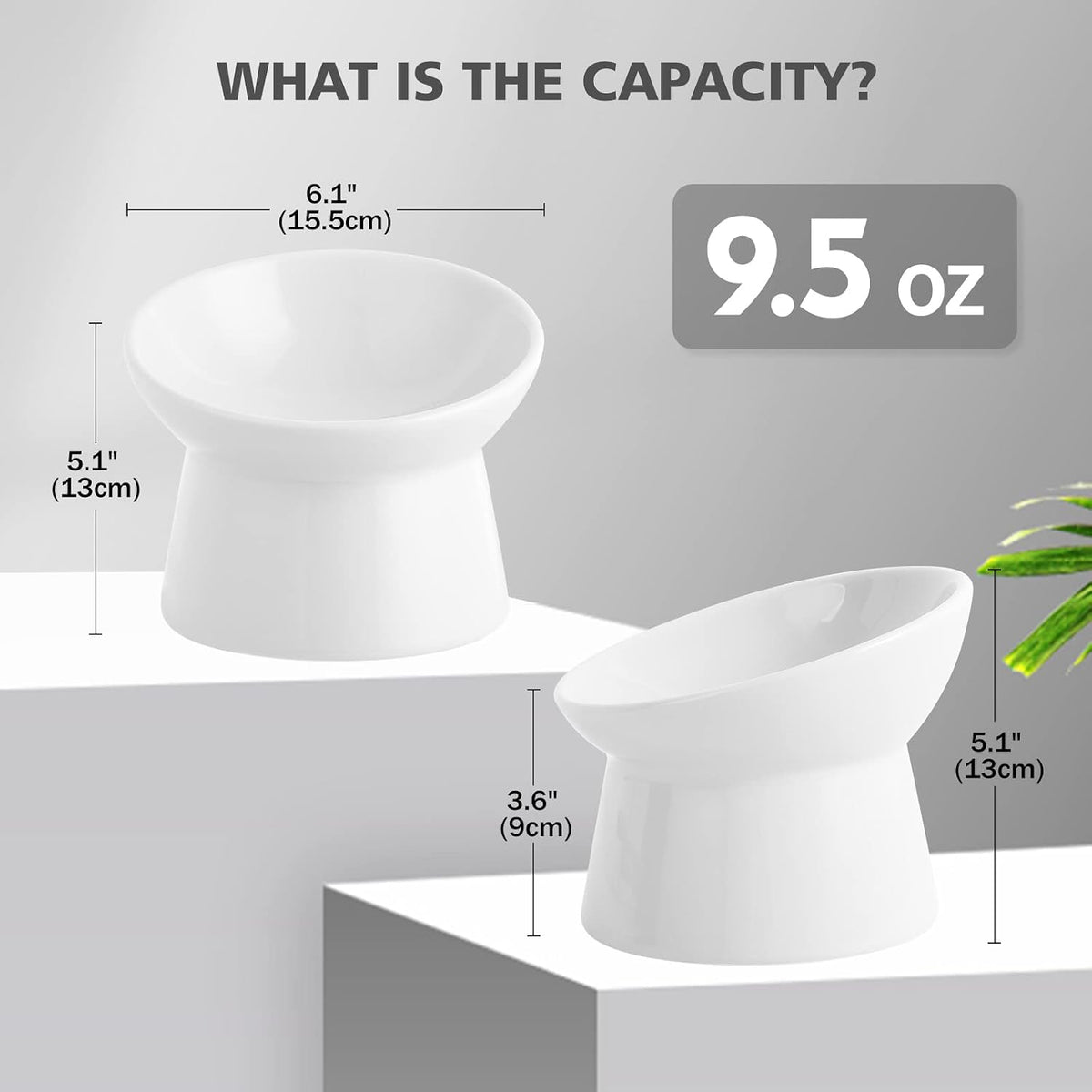 Elevated Cat Bowls, 15° Tilted Ceramic Cat Food Bowl - White / Large - image 2