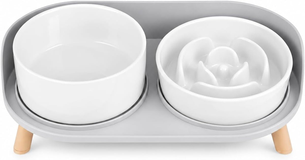 Elevated Slow Feeder Dog Bowls with Splash Proof Stand - Medium / White