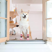 EXPAWLORER Anti Slip Dog Socks to Prevent Licking Paws, Dog Shoes for Hot Pavement, Dog Booties for Small Medium Large Senior Dogs, Traction Control Boots & Paw Protectors for Hardwood Floors