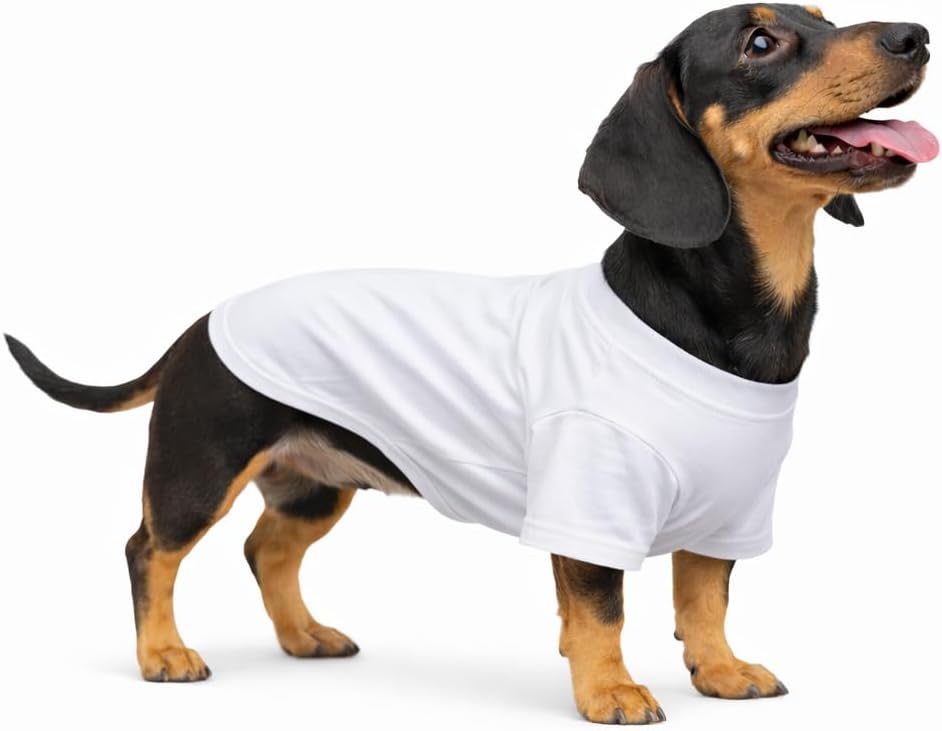 Lovelonglong Pet Clothing Dog Costumes Basic Blank T-Shirt Tee Shirts - D-XL (for Dachshund -30lbs) / White