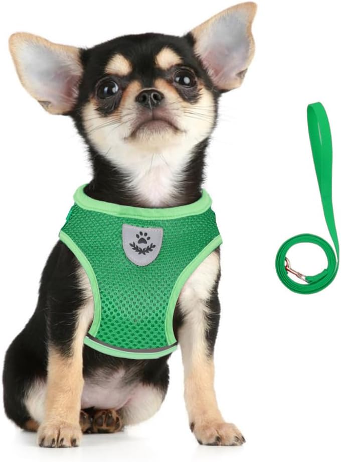 FEimaX Dog Harness and Leash Set for Walking - Green / Medium