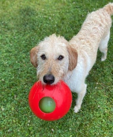Jolly Pets Teaser Ball Dog Toy, Small/4.5 Inches, Red (1504 RD)