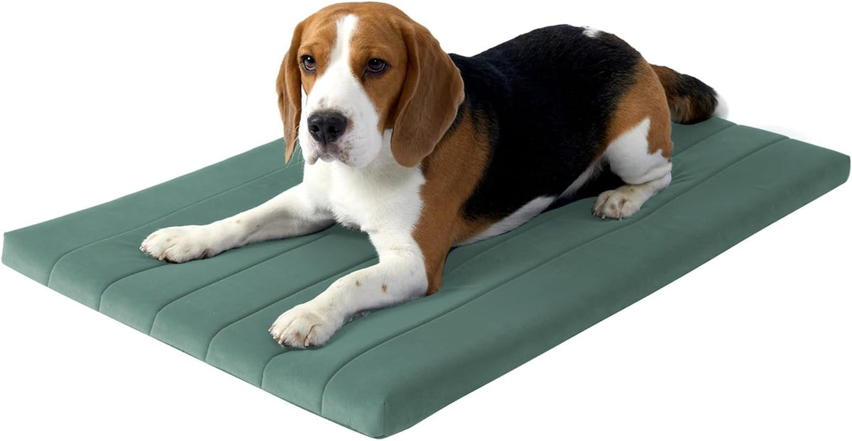 BALANCE Dog Crate Bed, Orthopedic Dog Bed Pad with Waterproof Liner, Washable Crate Foam Pet Mat - Mint Leaf / 36.0"L x 23.0"W x 1.6"Th