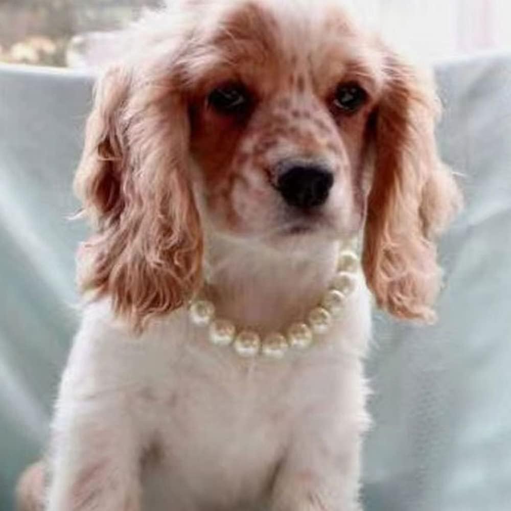 Adjustable white pearl collar necklace for cats and dogs with extender - view 3