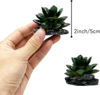 Reptile Artificial Plants Succulent Terrarium Decor Desert Rainforest - Dark-green-3pcs-se - image 2