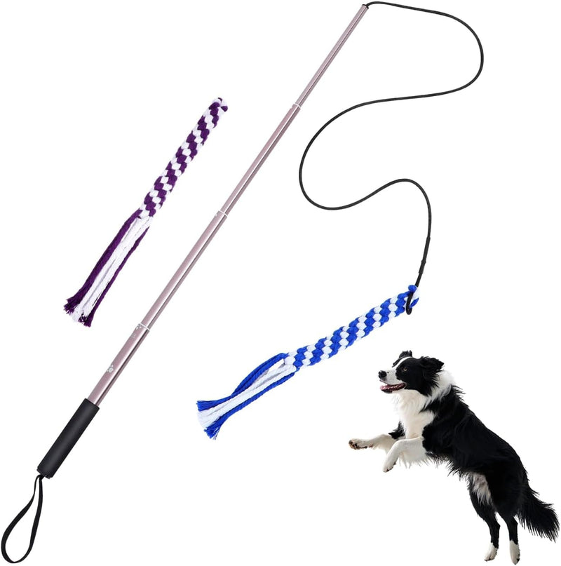 POPETPOP Flirt Pole for Dogs Interactive Dog Toys