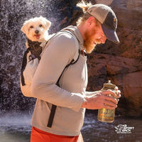 K9 Sport Sack Air 2 - Medium, Light Grey - Ideal for Dogs with 17-19” Back Length - Durable, Breathable Backpack-Style Carrier - Perfect for Walks, Short Hikes & Public Transportation