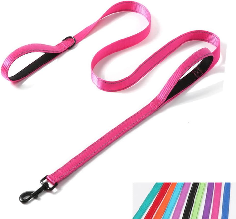 Reflective Nylon Dog Leash Heavy Duty - Pink / 6ft * 1"