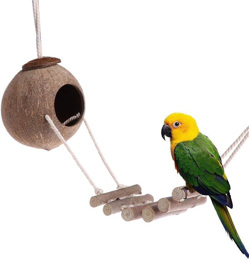 9-Piece Parakeet Toys & Budgie Toys, Bird Cage Accessories Set – Essentials for Birds - image 2