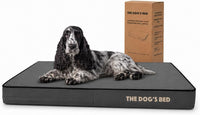 The Dog’s Bed Orthopedic Memory Foam Dog Bed - Grey with Black Trim / Medium Beds (4" deep)