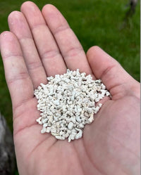 LitChicks’ Calcified Seaweed for Laying Chickens - Crushed Oyster Shell Alternative - Highly Digestible - Single Ingredient - Helps with Egg Laying & Flock Health. (5lbs)