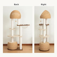 Wood Cat Tree 60'' with Woven Beds, 5-Level Natural Cat Condo with Sisal Posts & Clear Bubble Lounge, Multi-Level C at Furniture for Indoor Pets, Easy to Assemble (Brown-Particle Board)