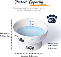 Raised Cat Food Bowl Ceramic 15° Tilted Cat Food Bowls Protect Cat's - Blue-Water Bowl / 1 - image 2