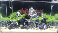 Natural Rocks Seiryu Stones Aquariums Stones for Aquascaping, Aquariums, Terrariums, Vivariums Decorative Stone,Reptile Enclosures,Paludariums,and Gardens-10LB（2 to 7 inch）