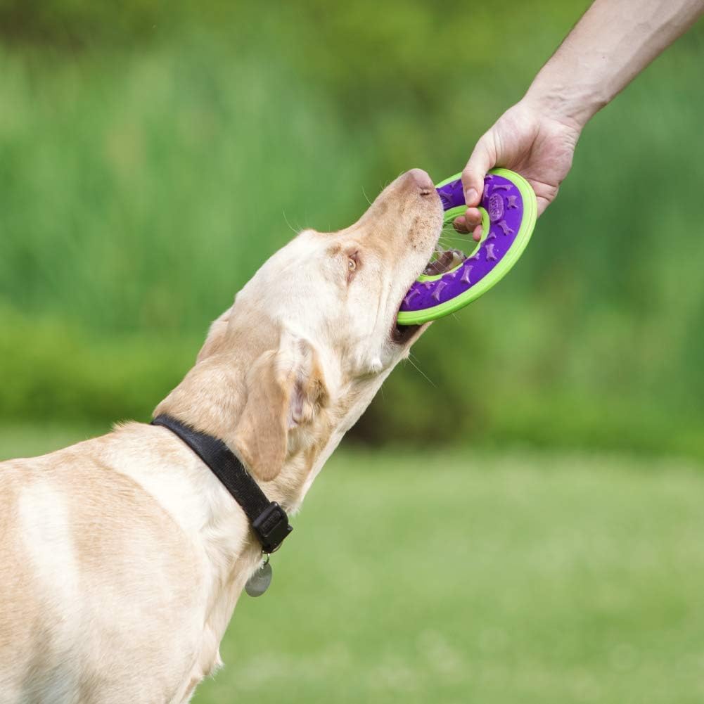 Hero Outer Armor, Fetch Ring Dog Toy, Floats & Squeaks, Blue – Essentials for Dogs - Ring - Purple - image 2