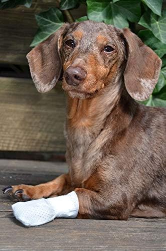 Medimitt Paw Bandages for Dogs, Cats and Pets – Stretchy Medical Booties, First Aid for Paws – Non Slip, Non Adhesive, Breathable, Disposable, Washable, Adjustable Strap, Value Pack (X-Large 20-Pack)