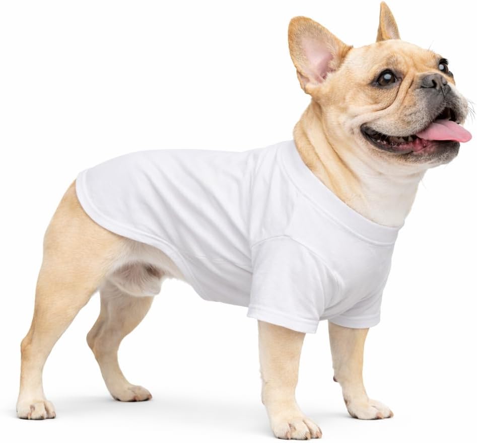 Lovelonglong Pet Clothing Dog Costumes Basic Blank T-Shirt Tee Shirts - B-XL (for Bulldog -50lbs) / White
