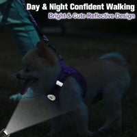 Small Dog Harness and Leash Set, No Pull Puppy Pet Vest, S - Small(Chest Girth 14.5" - 16") / Purple - image 3