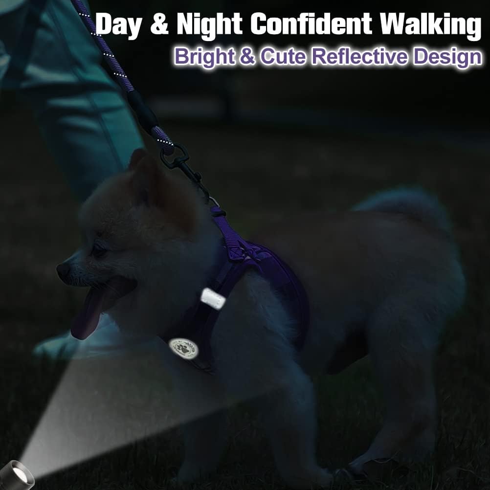 Small Dog Harness and Leash Set, No Pull Puppy Pet Vest, S - Small(Chest Girth 14.5" - 16") / Purple - image 3