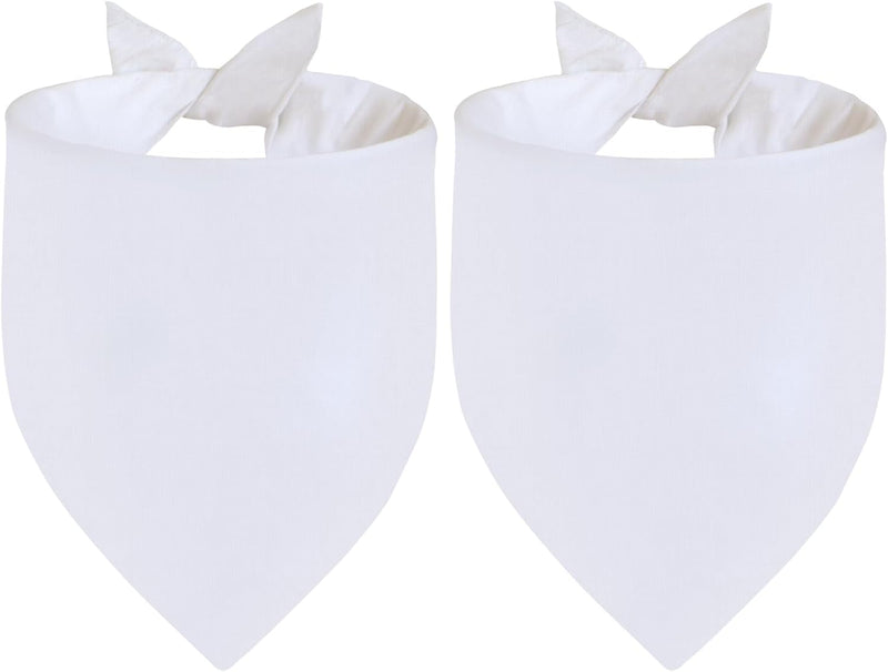 Blank Dog Bandana Orange Large 2PCS - White-2PCS / Small