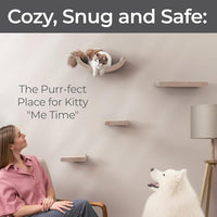 Wall Mounted Cat Shelves (Set of 4) by Pryde Pets - 100% Sustainable PET Felt Feline Enrichment Climber Furniture for Small & Large Indoor Cats, Modern Climbing Gym Jungle Design (Oatmeal)