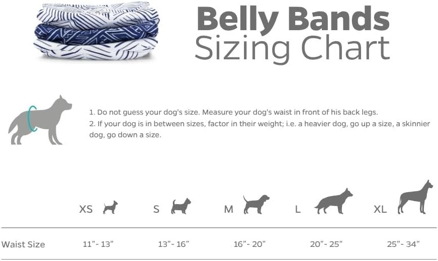 Pet Parents Washable Belly Bands for Male Dogs + Extendrs of Durable - X-Small (11-13") / Kahuna - image 4