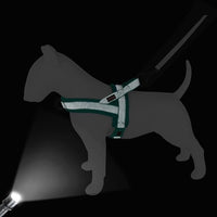 Didog No Pull Dog Harness with Breathable Mesh Padded, Full Reflective & Quick Fit Adjustable Vest Harness, Easy for Training Walking for Small & Medium and Large Dogs (Green, L:Chest 26-32")