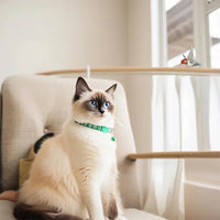 18Pcs Puppy Collars for Litter, Reflective Cat Collar - footprint / Breakaway - image 3