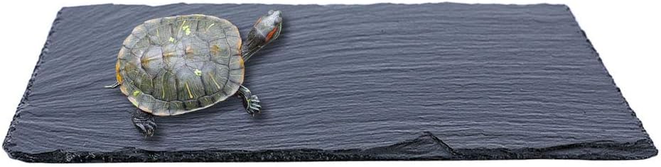 Slate Reptile Basking Platform Tortoise Feeding Dish Natural Rock - S - image 3