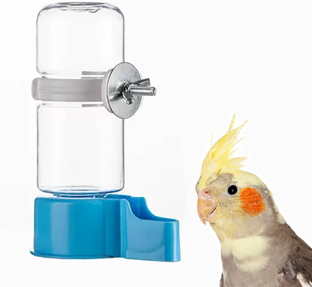 Pet Bird Automatic Water Feeder - Blue