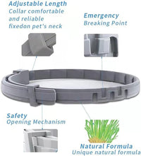 Flea Collar for Cats, Flea and Tick Collars for Cats and Kittens, 8 Month Protection, Gray, 1 Pack CAT