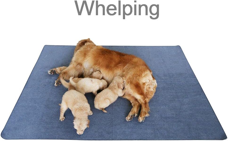 2Pack 36"x36" Pee Pads Washable Waterproof Rugs for Dog Training – Essentials for Dogs - 72x72 Inch (Pack of 1) - image 4