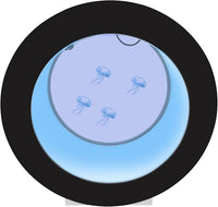 4.8Gal Jellyfish Aquarium Fish Aquarium with Water Circulation and Intelligent Filtration System, 16 Colors and 4 Light-Changing Effects Fish Tank Without Aquarium Water Chiller