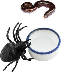 6 Pcs Spider Micro Water Bowl Mini Ceramic Dish for Spider Tarantula - image 4