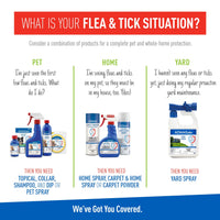 Keep Your Dog Happy and Flea-Free with ADAMS Plus Flea & Tick Foaming Shampoo & Wash - 2 Pack for Sensitive Skin! - BIG FRENCHIES