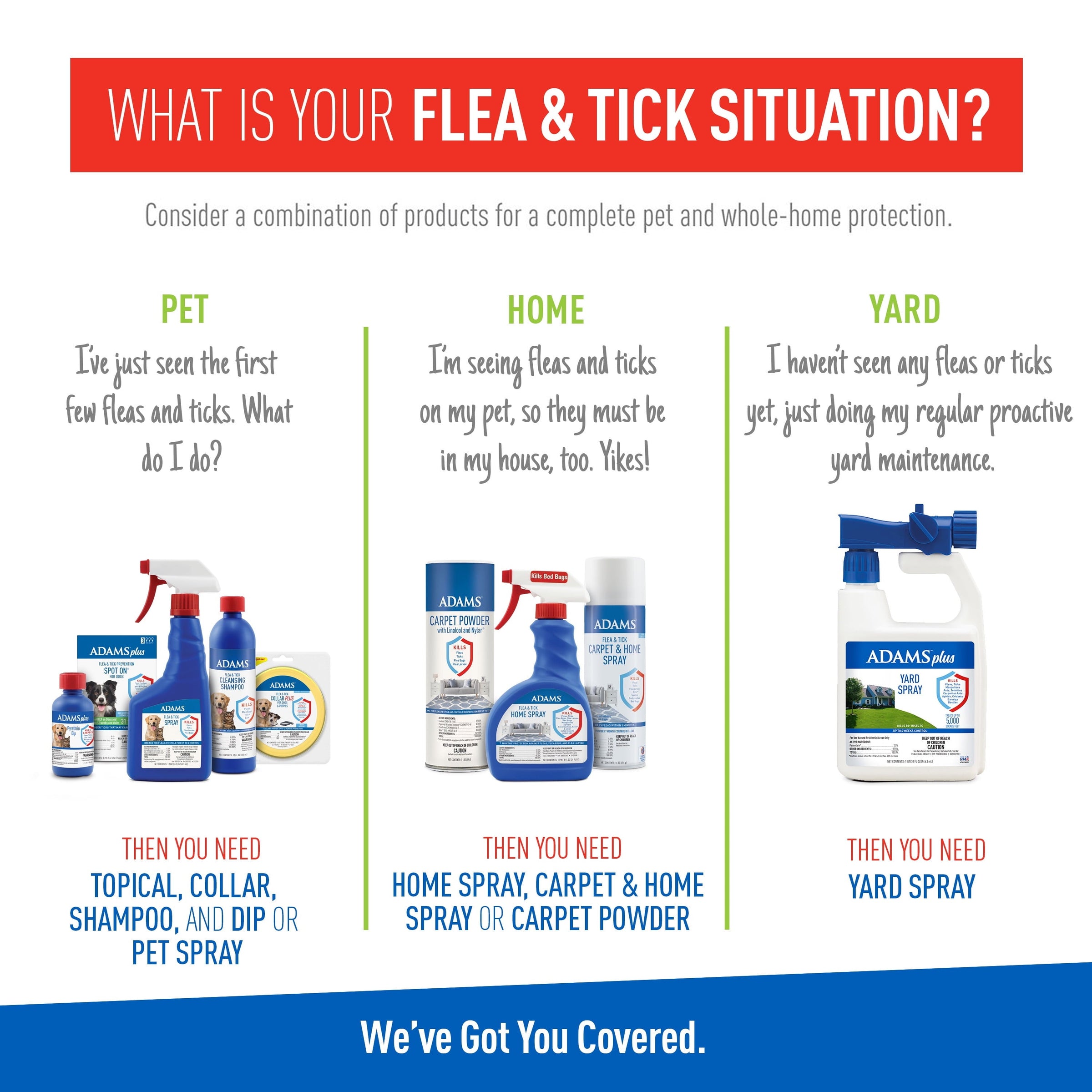 Keep Your Dog Happy and Flea-Free with ADAMS Plus Flea & Tick Foaming Shampoo & Wash - 2 Pack for Sensitive Skin! - BIG FRENCHIES