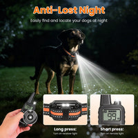 Dog Training Collar With Remote