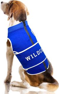 NCAA Calming Vest for Dogs & Cats – All Teams & Sizes