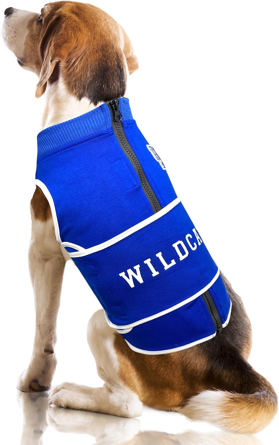 NCAA Calming Vest for Dogs & Cats – All Teams & Sizes