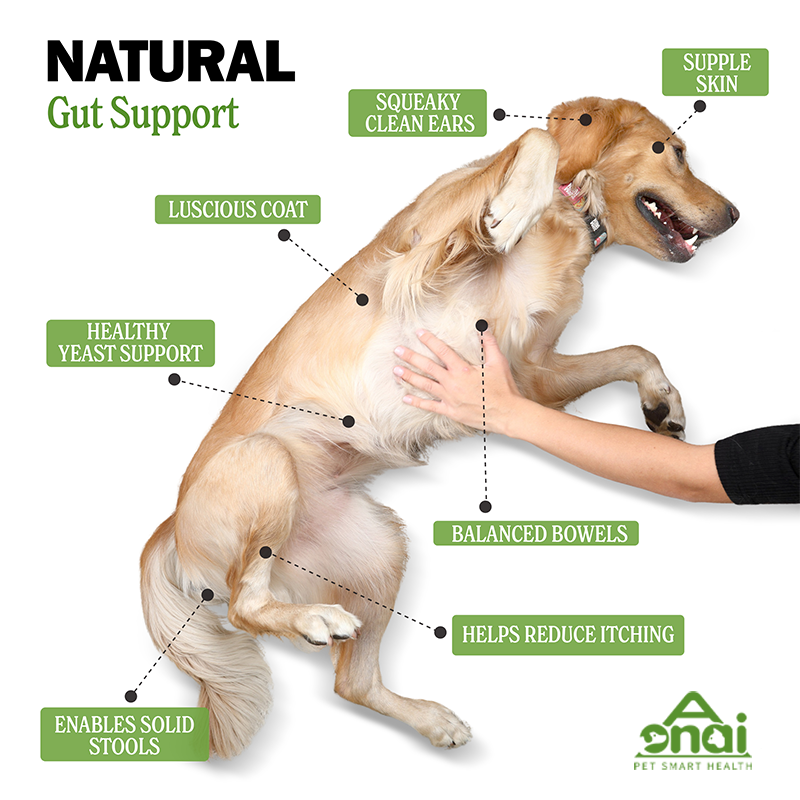OEM Hot Sales Probiotics Chews For Pets Customized Shape