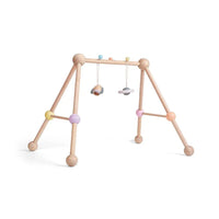 Play Gym - Pastel - BIG FRENCHIES