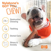 Flavor Frenzy Power Chew Triple Pack - BIG FRENCHIES
