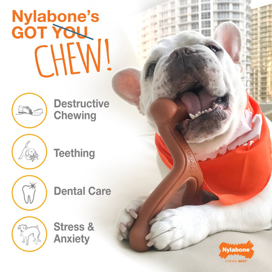 Flavor Frenzy Power Chew Triple Pack - BIG FRENCHIES