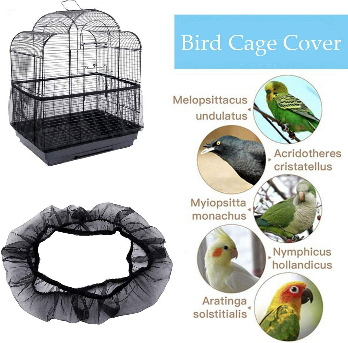 Universal Bird Cage Seed Catcher - BIG FRENCHIES