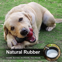 Dog Toys for Aggressive Chewers Bone - BIG FRENCHIES