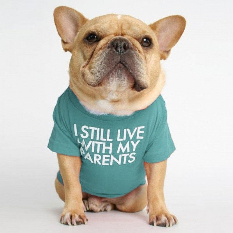 I Still Live With My Parents T-Shirt - BIG FRENCHIES